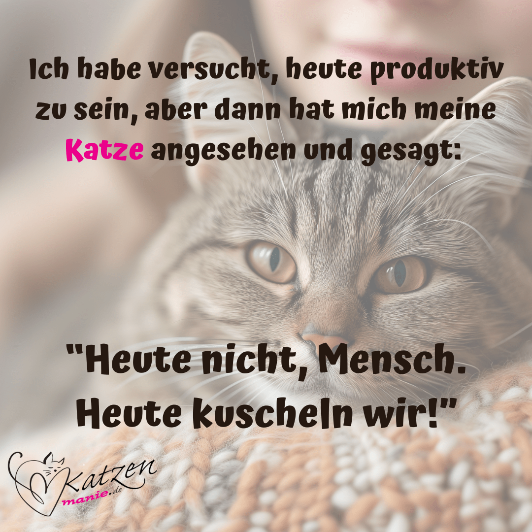 heute kuscheln