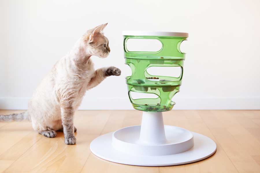 katze-Intelligenz-spielzeug