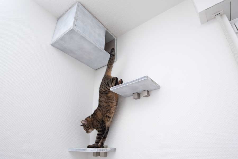 katze-rueckzugsort-diy