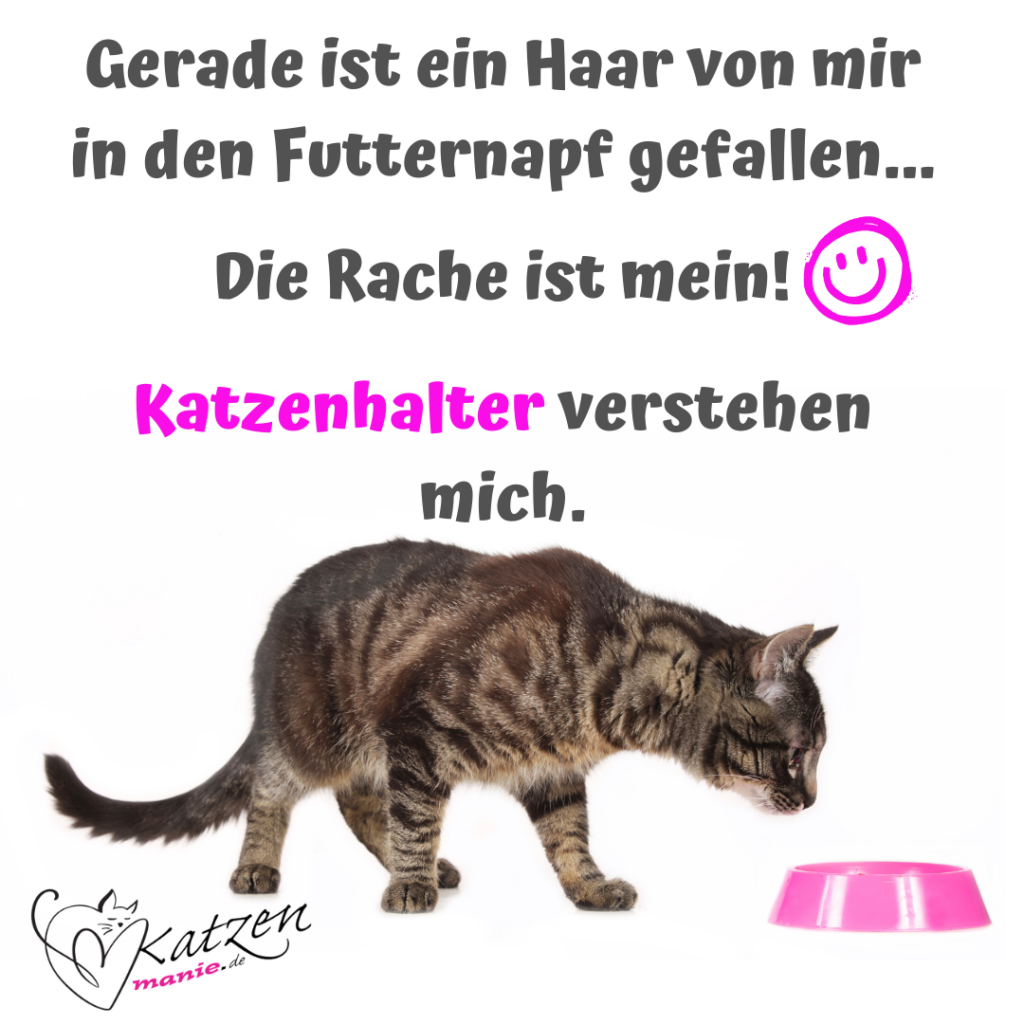 meine Rache