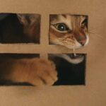 katze-karton-diy