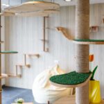 katzenspielplatz